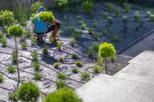 Greenbriar Farms - Irrigation