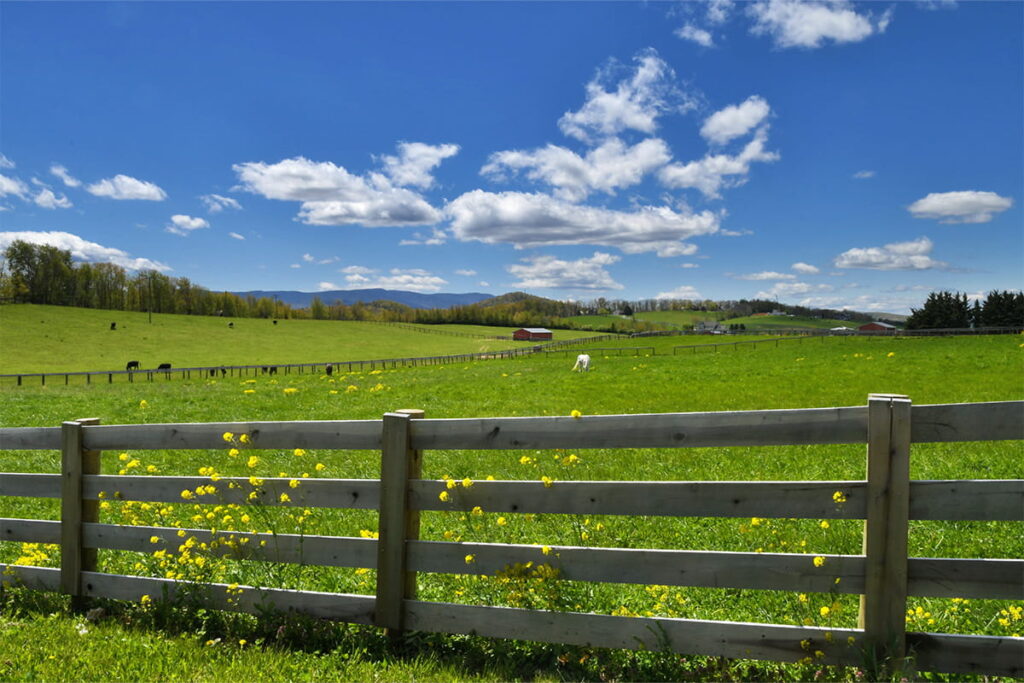 Greenbriar Farms - Fencing