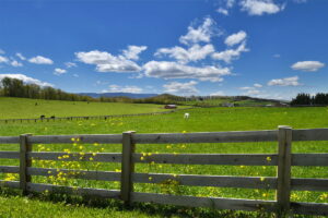 Greenbriar Farms - Fencing