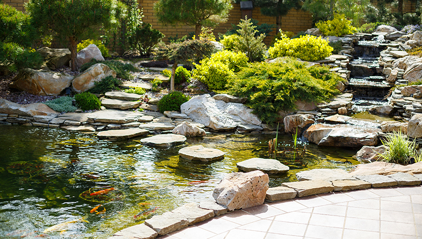 Greenbriar Farms - Pond